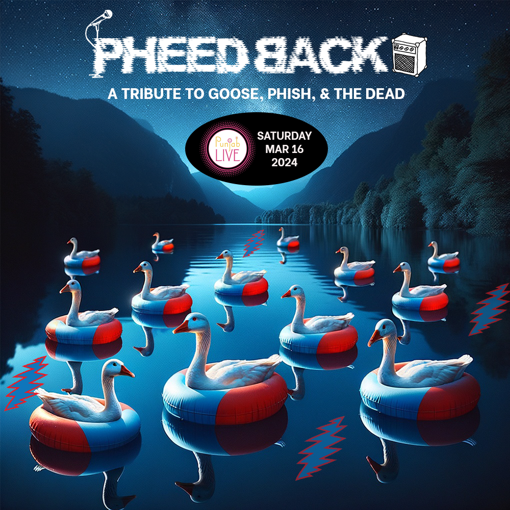 Pheedback at Punjab Live